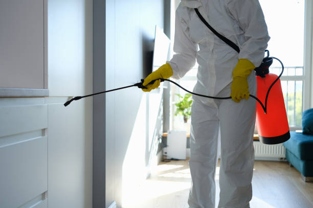 Best Office Mold Removal Services  in New Baltimore, MI