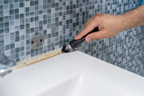 Best Commercial Mold Removal  in New Baltimore, MI