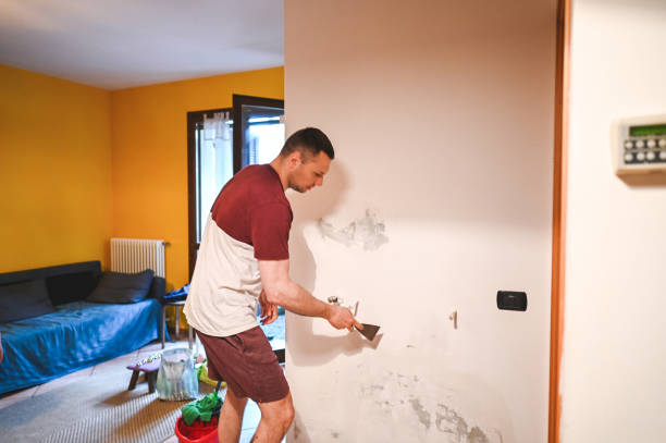 Best Mold Removal Company Near Me  in New Baltimore, MI